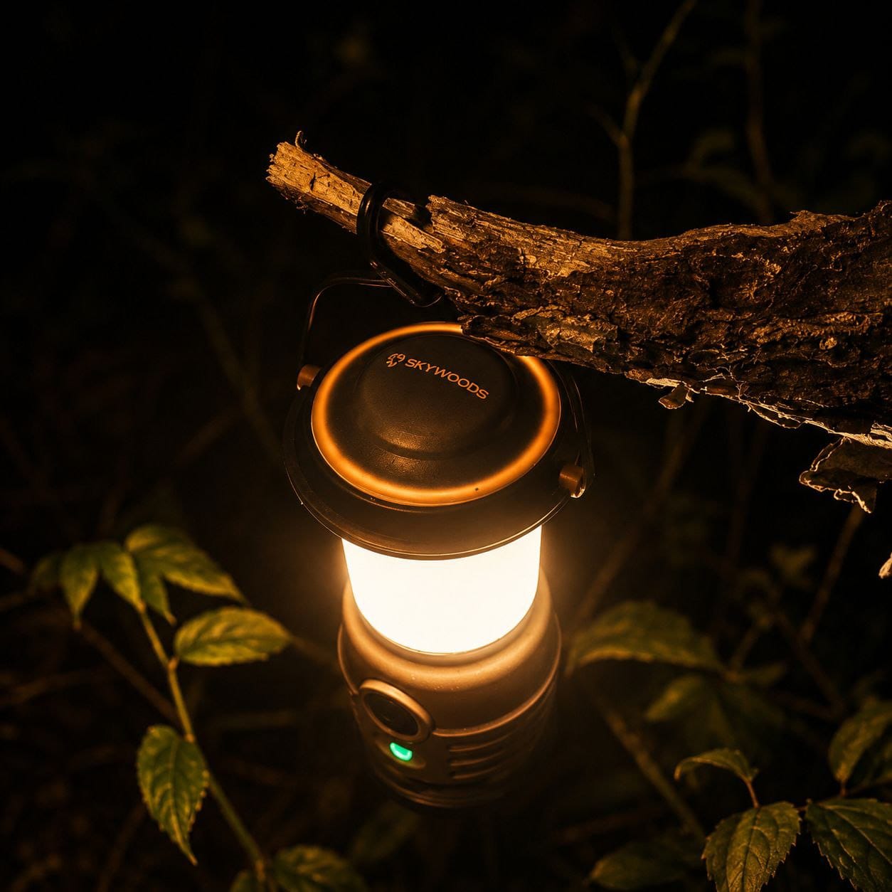 Multipurpose Lantern